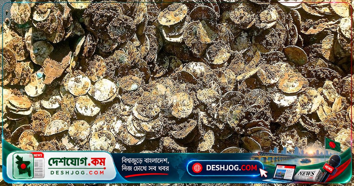 ফিনল্যান্ডের জঙ্গলে আবিষ্কৃত ভাইকিং যুগের অদ্ভুত রূপার গুপ্তধন: ৪ কেজি ওজনের ১০ পাউন্ডের কয়েনসহ সম্পদ!