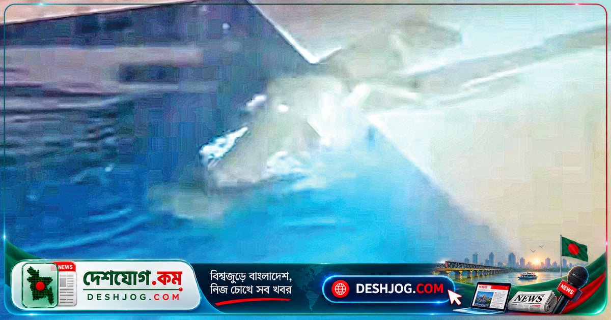 ফ্লোরিডার বাড়িতে অনুপ্রবেশকারী হরিণ! সুইমিংপুলে সাঁতার কাটে বাঁচতে