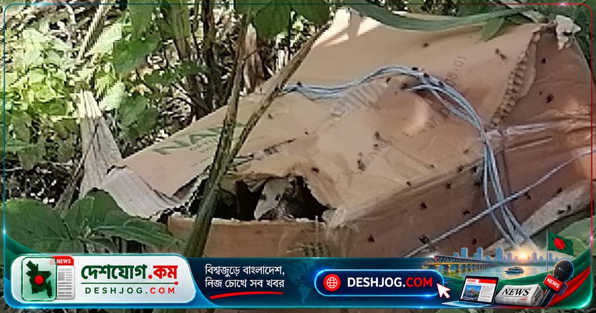 ফরিদপুরের মধুখালীতে পচাগলা ছয় খণ্ড লাশ উদ্ধার: পুলিশের তদন্ত চলছে পরিচয় শনাক্তে