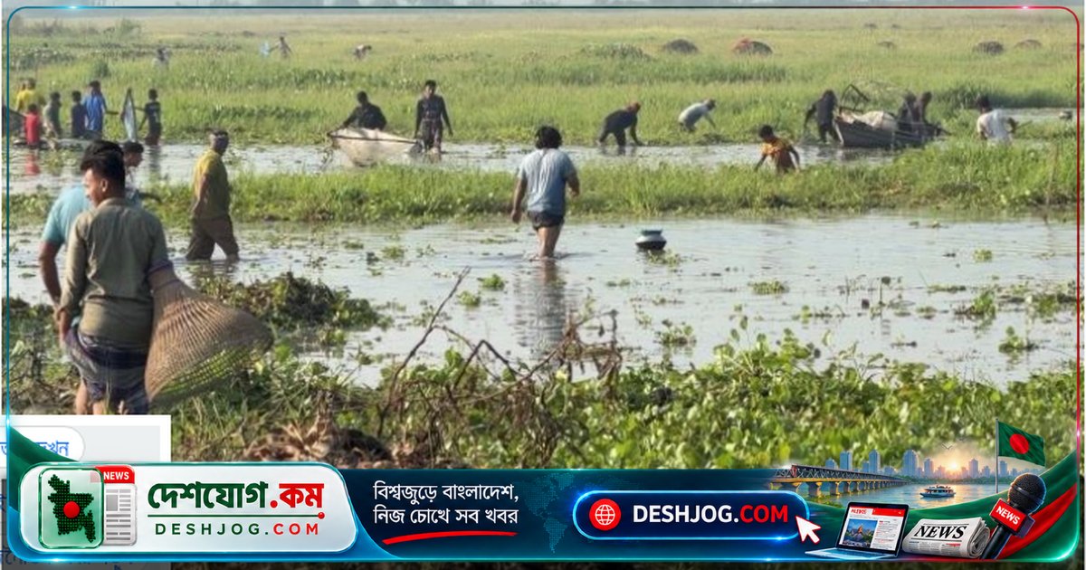 ফরিদপুরের ঐতিহ্যবাহী পলো উৎসবে মাছের আকালে হতাশ শিকারিরা, কিন্তু ঐতিহ্য টিকে আছে