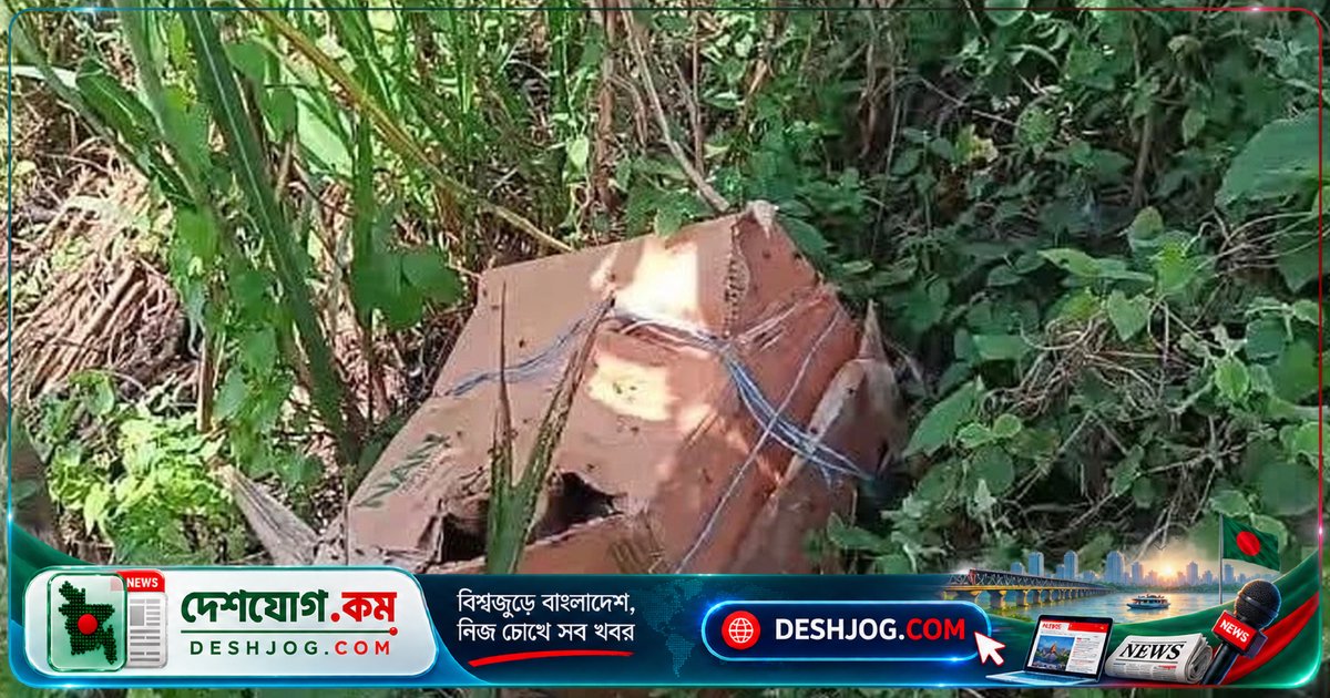 ফরিদপুরে ধানক্ষেতে পড়ে থাকা কার্টনে ছয়টি বিচ্ছিন্ন মরদেহ উদ্ধার, নিহতের পরিচয় অজানা