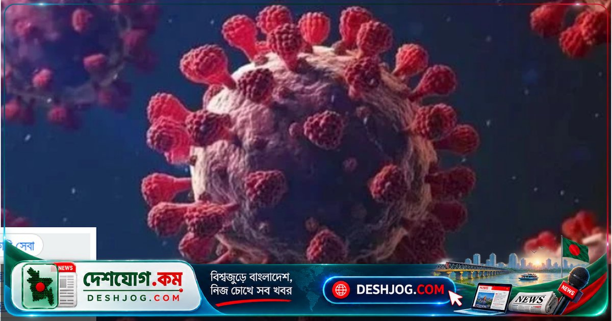 ফ্রান্সে শামোন্ডা ভাইরাসে আক্রান্ত প্রথম ব্যক্তি মৃত্যুবরণ: বিশ্বে প্রথম মানুষে সংক্রমণ শনাক্ত