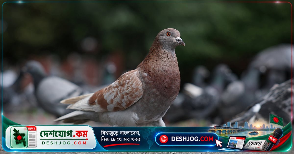 মুক্ত আকাশে পাখির সৌন্দর্য: বন্দী থাকার চেয়ে স্বাধীনতা বেশি মূল্যবান