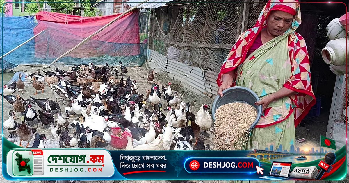 ১০টি হাঁসের ডিম থেকে ১৬ একর সমন্বিত খামারে রূপান্তর: বিবি রহিমার উদ্যোগের গল্প
