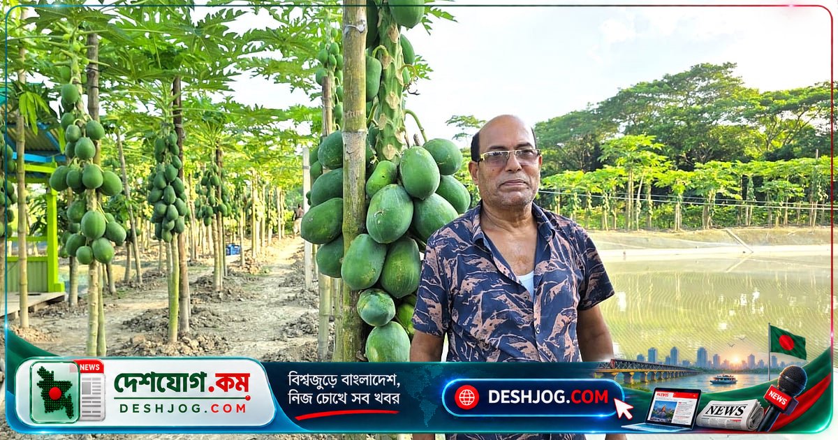 বর্গাচাষির সন্তান থেকে কৃষি উদ্যোক্তায় রূপান্তরিত সুমন আহমেদের কৃষি খামারের সফল গল্প