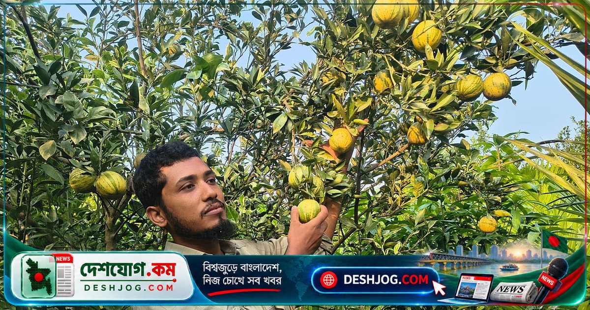কমলার এক গাছ থেকে সাড়ে সাত একর বাগান গড়ে তোলেন ফারুক, বছরে ৩২ লাখ টাকার ফল-চারা বিক্রি করে আত্মকর্মসংস্থান