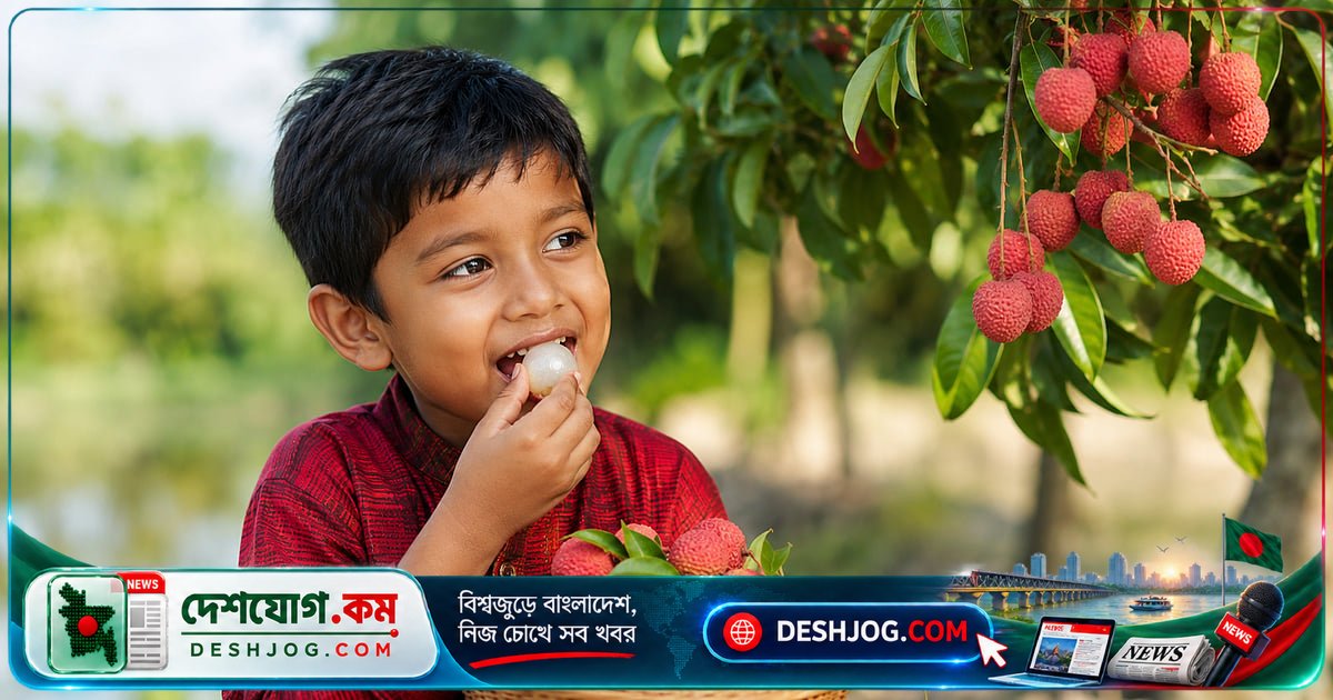 গাছ থেকে পেড়ে খাওয়া ফল নিরাপদ কি? ডায়েটিশিয়ান বলেন, ধুয়ে খাওয়ারই সঠিক পদ্ধতি
