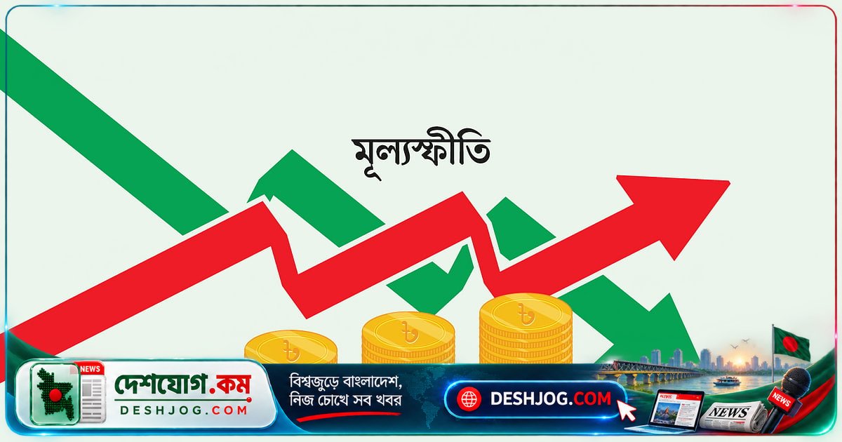 জ্বালানি তেলের দাম বাড়লে ২০২২ সালের মতো সাড়ে ৯ শতাংশে উঠতে পারে মূল্যস্ফীতি: অর্থনীতিবিদদের সতর্কবার্তা