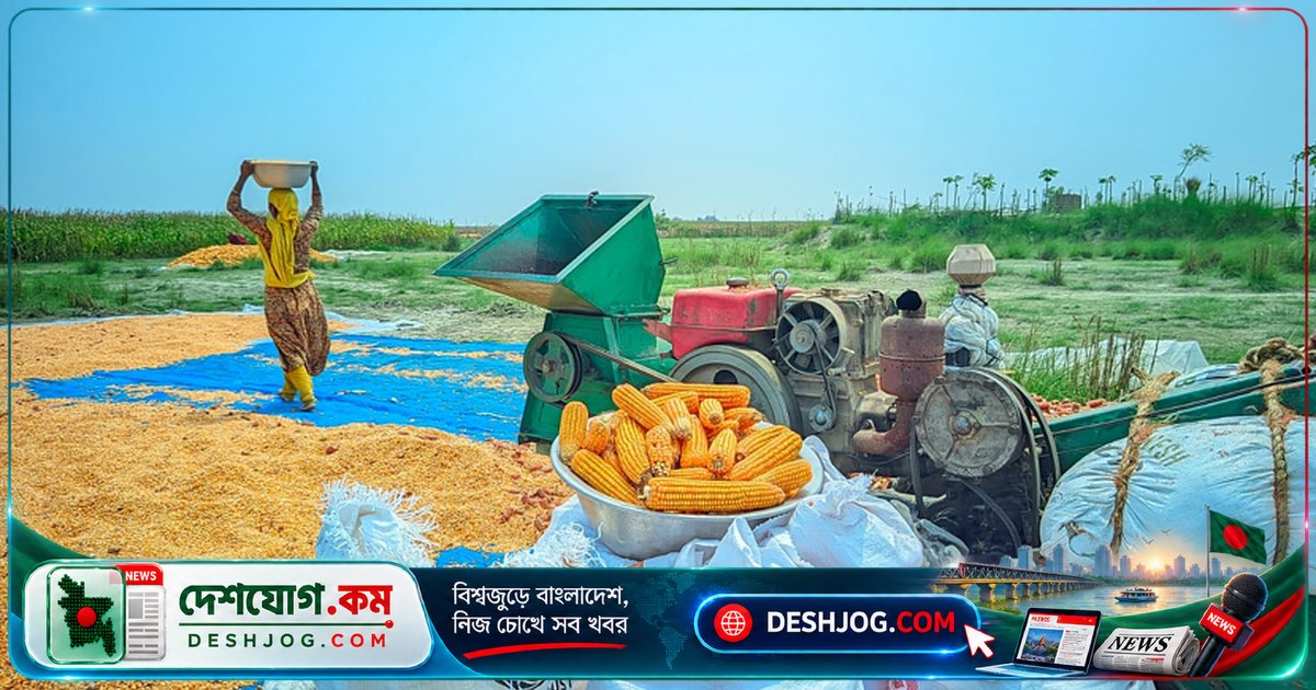 গাইবান্ধার কৃষি ভবিষ্যতে বিপদ: তরুণরা পেশা থেকে দূরে সরে যাচ্ছে অনিশ্চয়তার কারণে