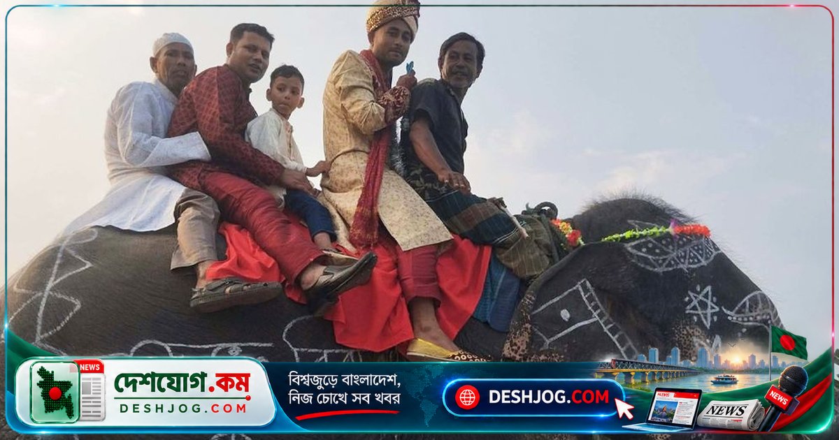 গাইবান্ধায় হাতির পিঠে বরযাত্রা: মা-বাবার শখ পূরণের ব্যতিক্রমী বিবাহ অনুষ্ঠান