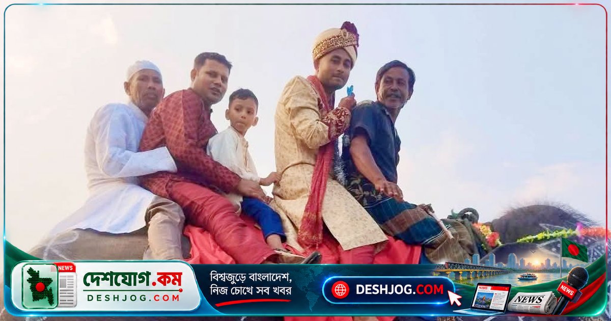 গাইবান্ধার যুবক মায়ের শখ পূরণে হাতির পিঠে বিবাহযাত্রা শুরু, সড়ক পথে জমায়েত দর্শক