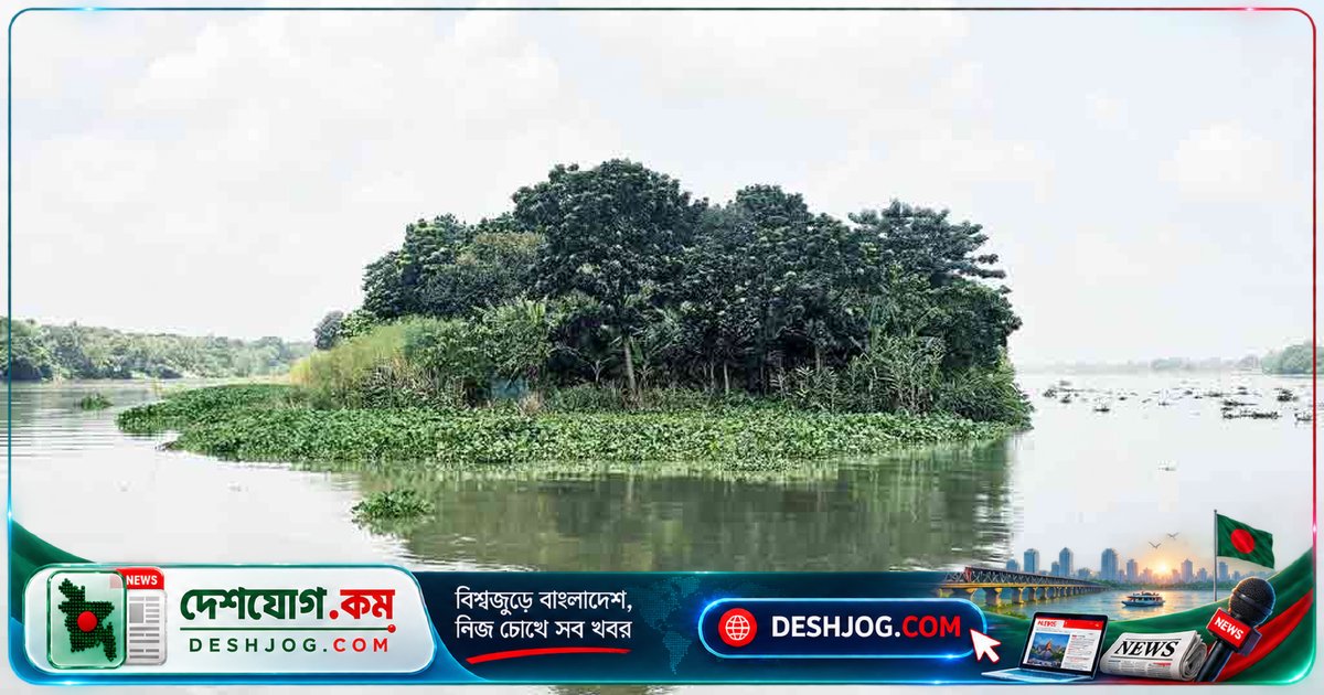 গাজীপুরের ধাঁধারচরে ৪৫ মেগাওয়াট সৌরবিদ্যুৎ প্রকল্পে সাবেক বিএনপি নেতা আবেদন: পরিবেশ ও কৃষিজীবীদের প্রতিবাদ