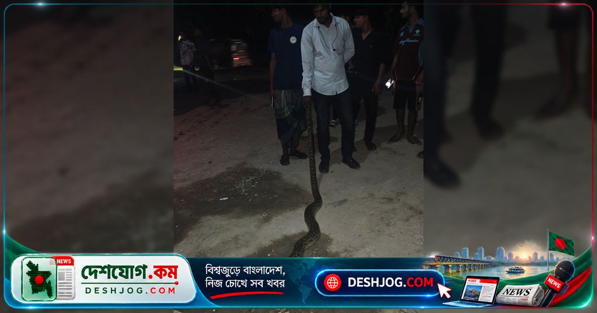 গাজীপুরের ট্রাকস্ট্যান্ডে ৯ ফুট লম্বা অজগর উদ্ধার: বন বিভাগের অদ্ভুত সাফল্য