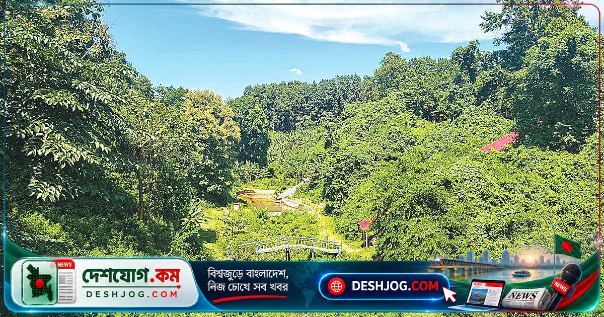 গারো পাহাড়ের প্রাকৃতিক সৌন্দর্য বঞ্চিত পর্যটকদের — থাকার ব্যবস্থা ছাড়া দিনের আলোতে ফিরতে হয়