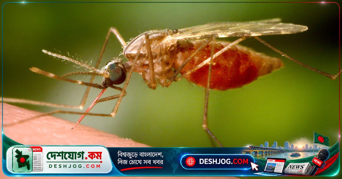 জার্মানির ফ্রাঙ্কফুর্ট বিমানবন্দরের কাছে মালেরিয়া একটি বিস্ময়কর বিস্ফোরণের সম্মুখীন হয়েছে