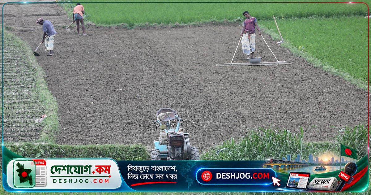 ফরিদপুর থেকে রাঙামাটি পর্যন্ত গ্রামীণ জীবনের নানা মুখরূপ