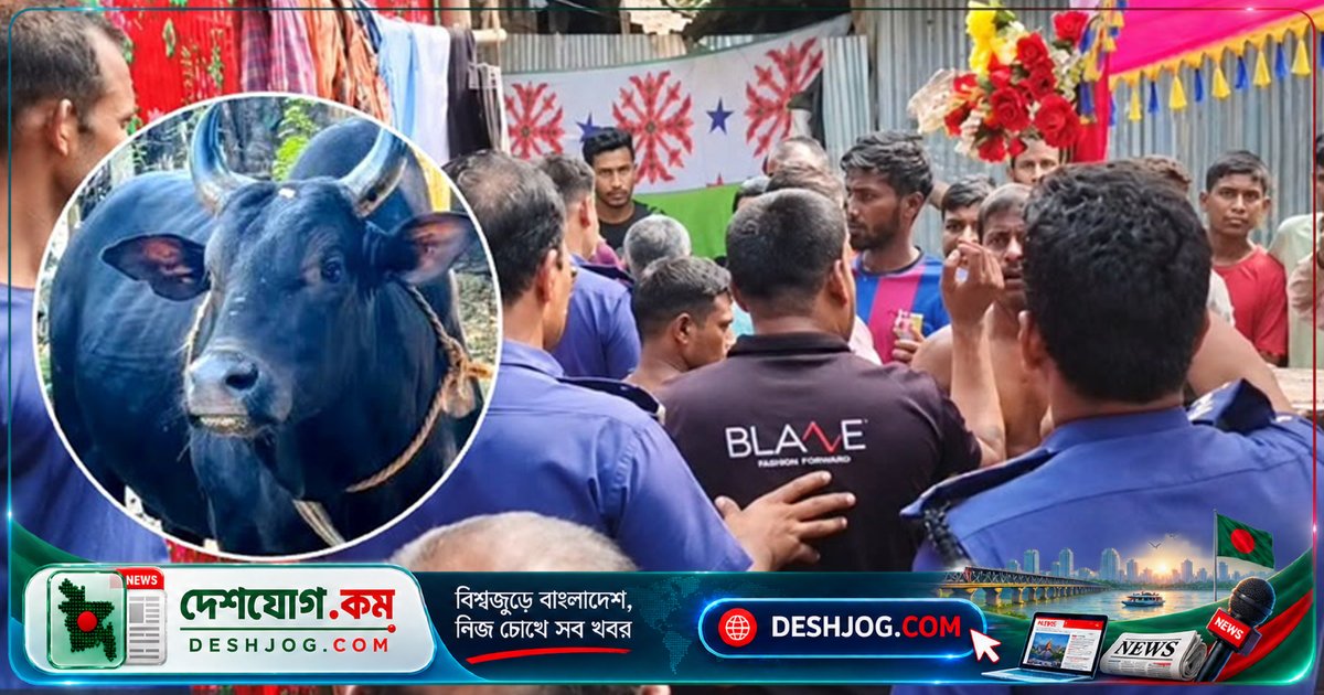 গোবিন্দগঞ্জে চুরি করা গরু জবাই করে বৌভাতে ব্যবহার: বরের বাবা গ্রেপ্তার, মামলা দায়ের
