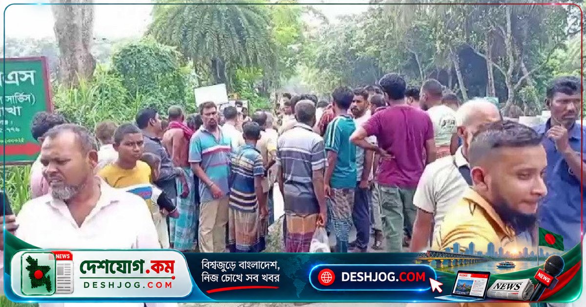 গোপালগঞ্জের মহাসড়কে বাসের চাপায় একসঙ্গে মারা যায় ৭০ ও ৬০ বছর বয়সী দম্পতি