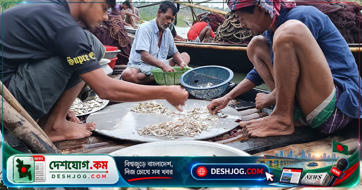 করতোয়া নদীর হারিয়ে যাওয়া দহ: দেশি মাছের জীবনরক্ষাকারী আবাসস্থল কোথায়?