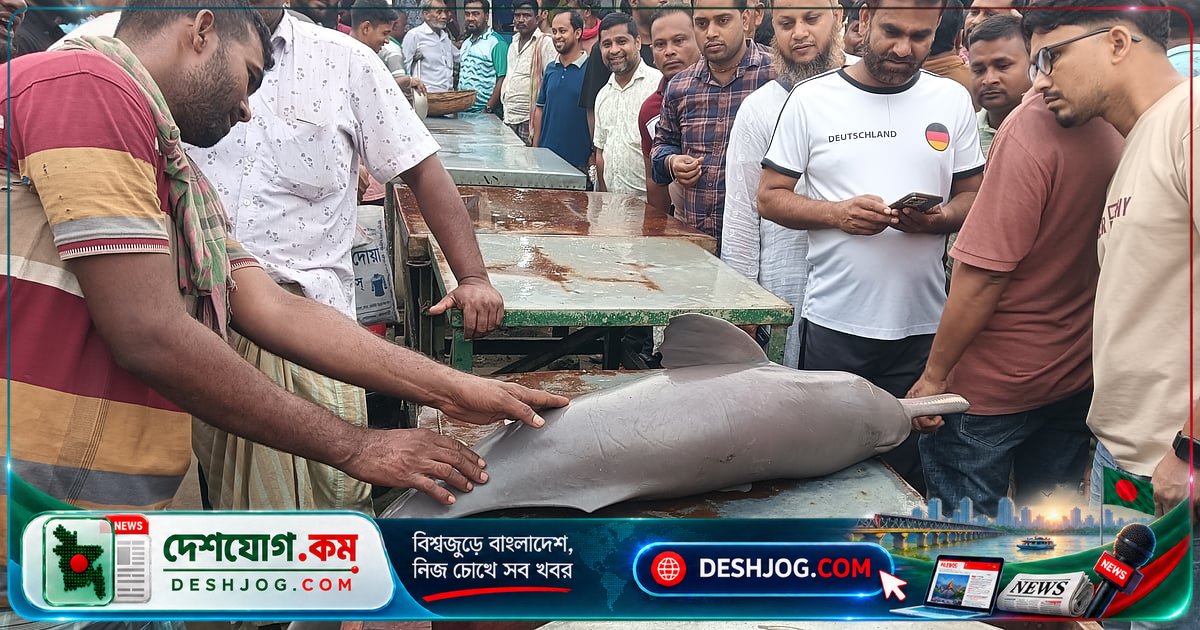 গোয়ালন্দে নিলামে বিক্রি হয় বিপন্ন শুশুক, আইন লঙ্ঘন করে মৎস্য আড়তে বিক্রি