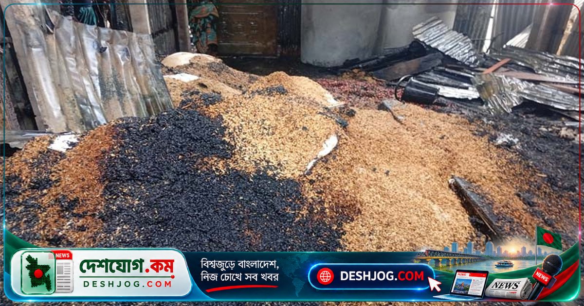 গোয়ালন্দে অগ্নিকাণ্ডে পুড়ে যায় তিনটি ঘর, গরু ও ৬০ মণ ধান: ক্ষতির পরিমাণ অজানা