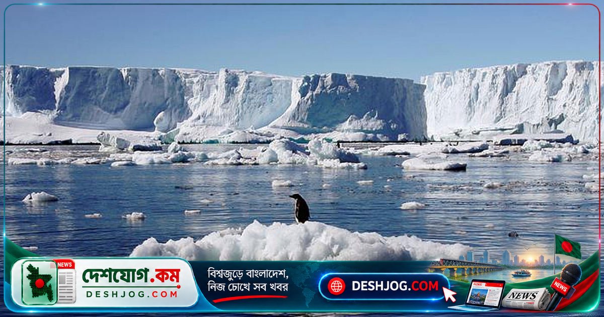 গ্রিনল্যান্ড ও অ্যান্টার্কটিকার বরফ গলে সমুদ্রপৃষ্ঠে ৩ সেন্টিমিটার উঁচু হয়ে দাঁড়ায়: গবেষণা
