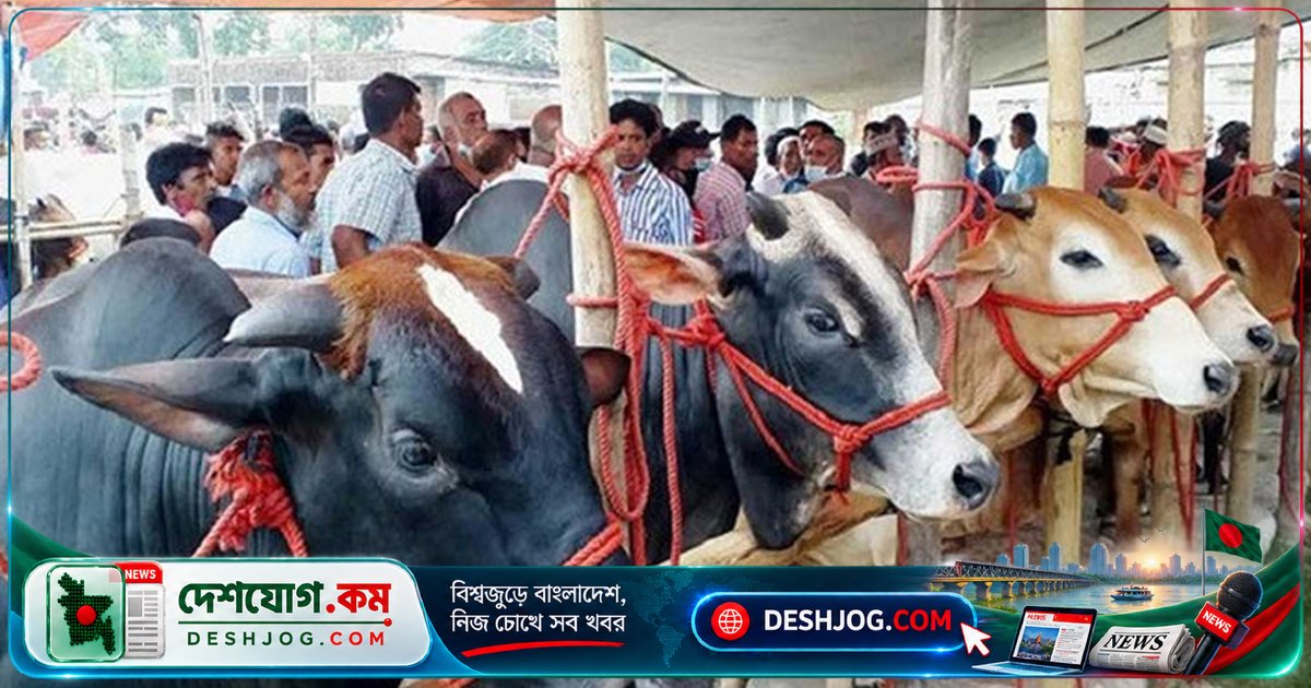 গুজরাট আদালত মনুস্মৃতি ও বেদের আলোকে গরু জবাই মামলায় তিন মুসলিমকে যাবজ্জীবন কারাদণ্ড