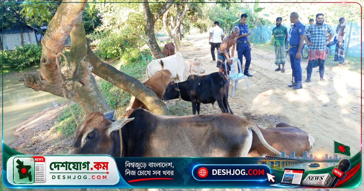 ময়মনসিংহের হালুয়াঘাটে শিশুদের নিয়ে ভারতীয় গরু পাচারের অভিযান: ৬টি গরু জব্দ, চোরাকারবারিরা পালিয়ে যায়