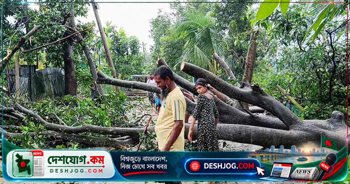 ময়মনসিংহের হালুয়াঘাটে এক মিনিটের ঝড়ে অর্ধশতাধিক বাড়ি ধ্বংস, বিদ্যুৎ সরবরাহ বন্ধ, ৩ জন আহত