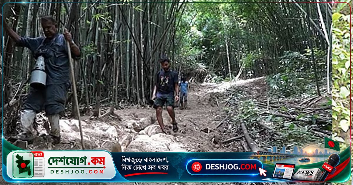 হাম হাম জলপ্রপাতের অপূর্ণ স্বপ্ন: প্রাণিবিদ তানিয়া খান ও মুনির খানের স্মৃতিচিহ্নে ব্যাঙের খোঁজে মাঠ জরিপ
