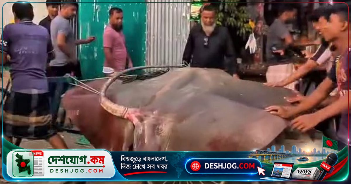 হাতিয়া উপজেলায় জেলেদের জালে ধরা ২৮০ কেজি ওজনের নিষিদ্ধ শাপলাপাতা মাছ বিক্রি: আইনি লঙ্ঘনের ঘটনা