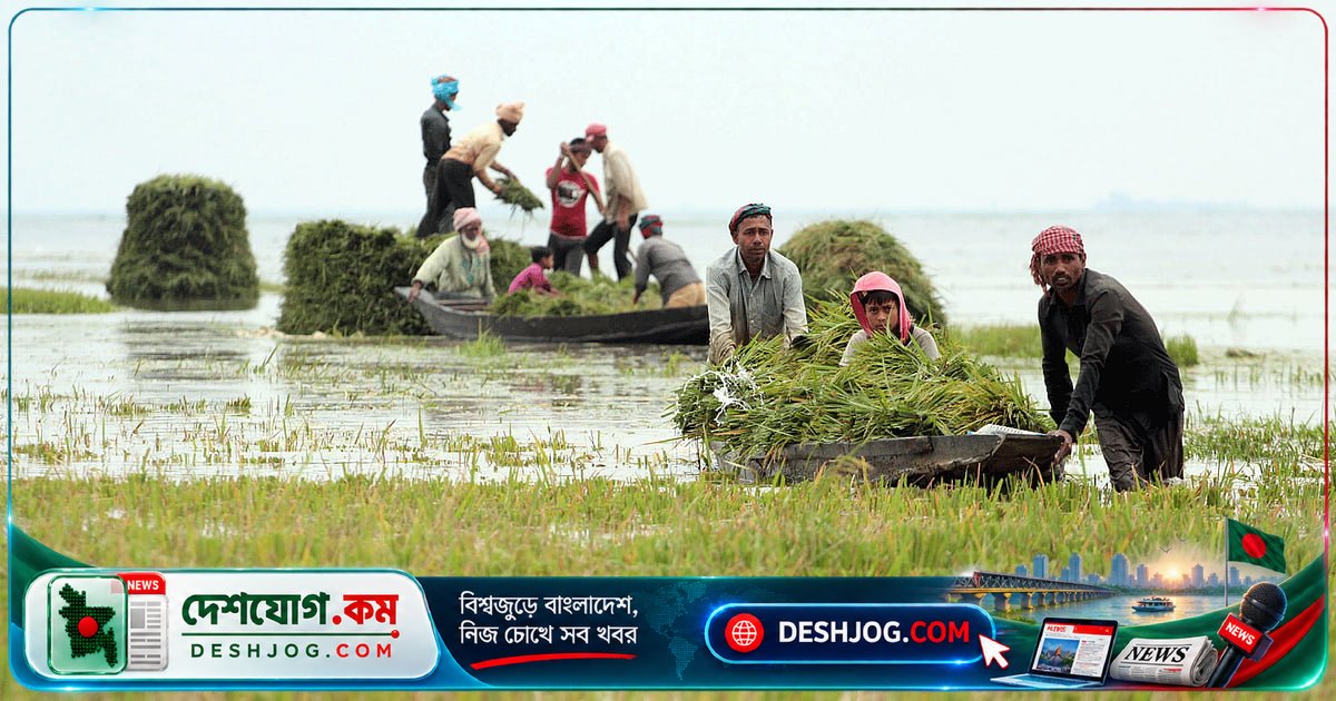 হাওরাঞ্চলের মানুষের জীবন: ঋতুর পরিবর্তনের সঙ্গে বদলায় প্রকৃতি ও জীবিকা