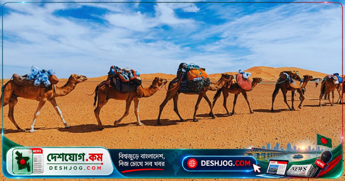 হজরত উসমান (রা.)-এর ৬টি আধুনিক ব্যবসায়িক কৌশল যা আজও কার্যকর