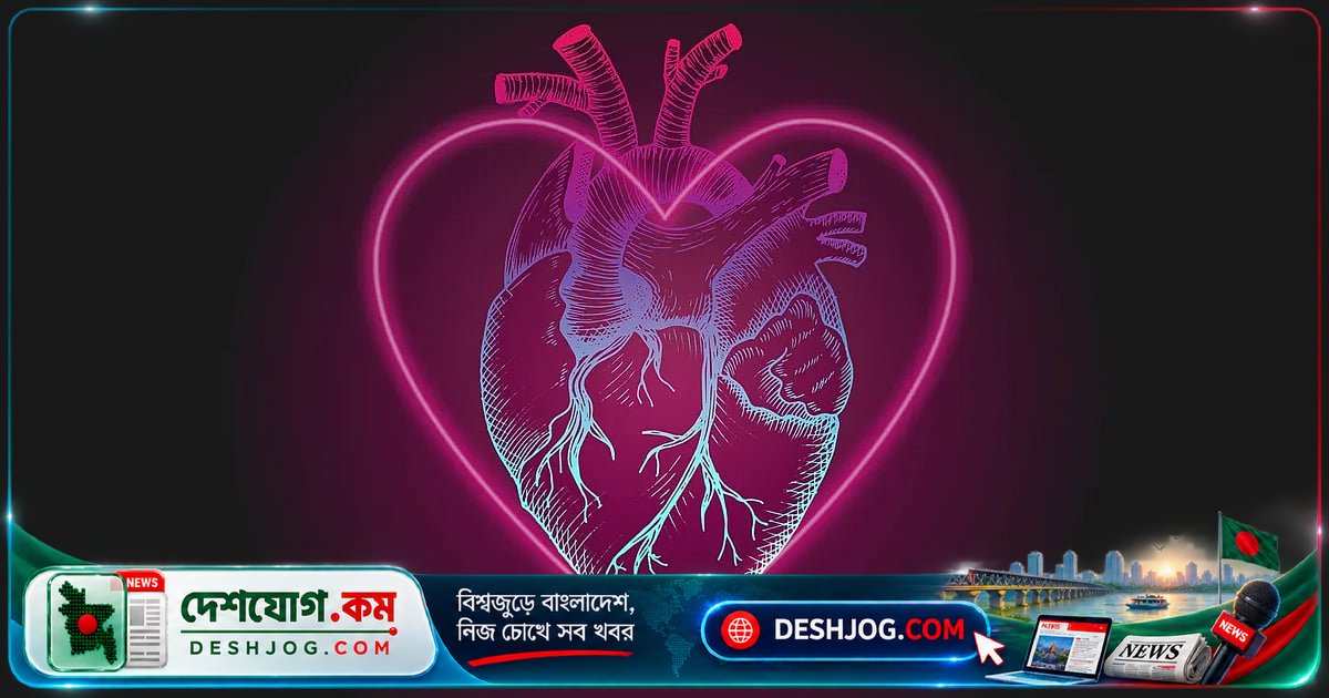 হৃৎপিণ্ডের প্রতীক কেন দেখতে হৃদয়ের মতো নয়? প্রাচীনকালের গোপন সত্য