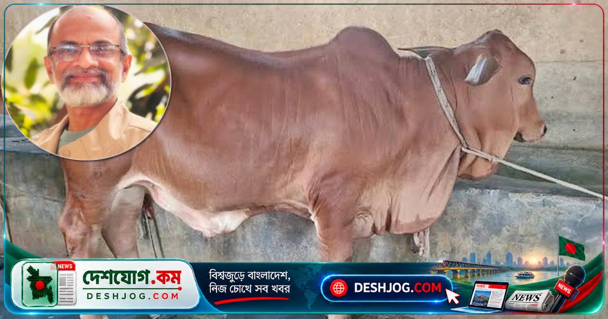 হেভি মেটালের বিষাক্ততা থেকে কীভাবে রক্ষা পায় খাঁটি দুধ? বিজ্ঞানী মাহবুব কবিরের সত্য প্রকাশ