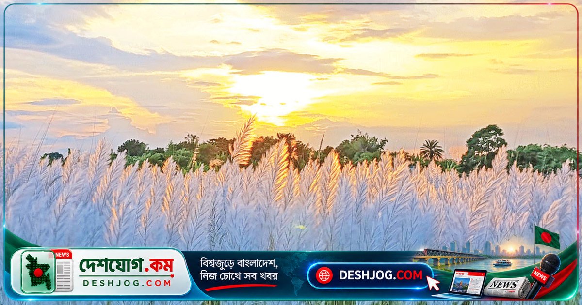 হেমন্তের আগমন: বৃষ্টি কমলেও গরম কি দূর হবে? আবহাওয়া অধিদপ্তরের পূর্বাভাস