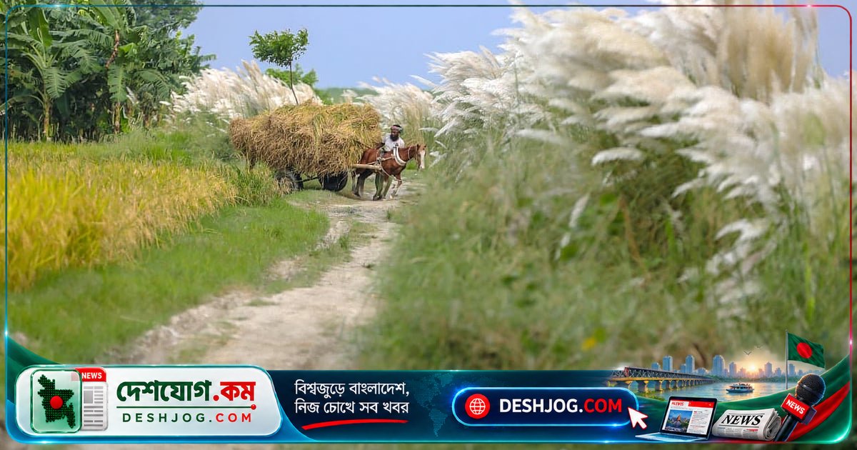 হেমন্তের আসার সঙ্গে সঙ্গে কী কী আনন্দের আহ্বান!