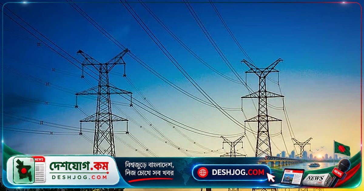 বিদ্যুৎ বিপর্যয় তদন্তে উচ্চপর্যায়ের কমিটি গঠন: পাঁচ সদস্যের তদন্ত দলের দায়িত্বে অতিরিক্ত সচিব