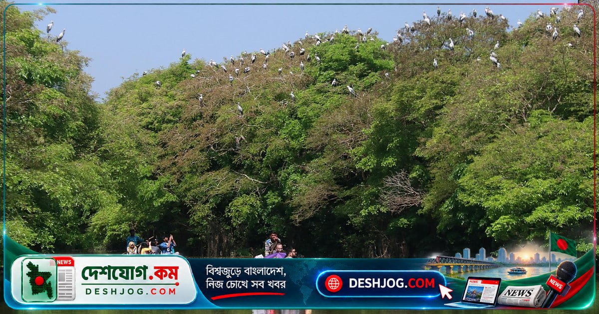 হিজল-করচ বনের গোপন ভূমিকা: মাছের নার্সারি হিসেবে কীভাবে কাজ করে এই ডোবা গাছ?