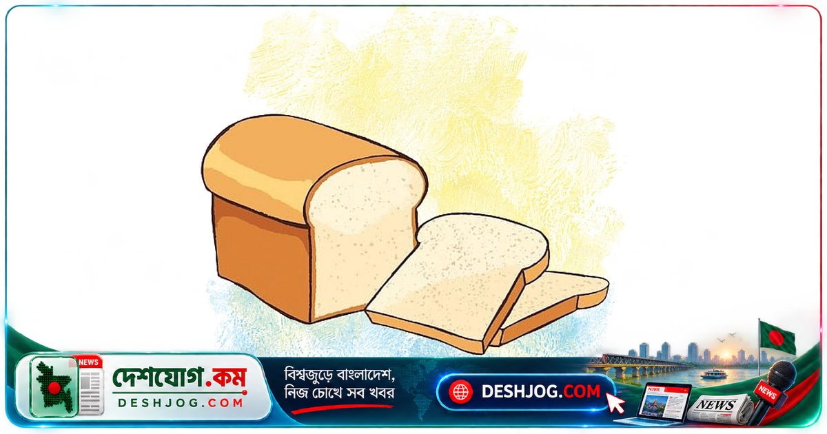 মাছের গাঁজন থেকে শুরু করে টমেটো কেচাপের অদ্ভুত ইতিহাস: কীভাবে বদলেছে বিশ্বের জনপ্রিয় সসের রূপ