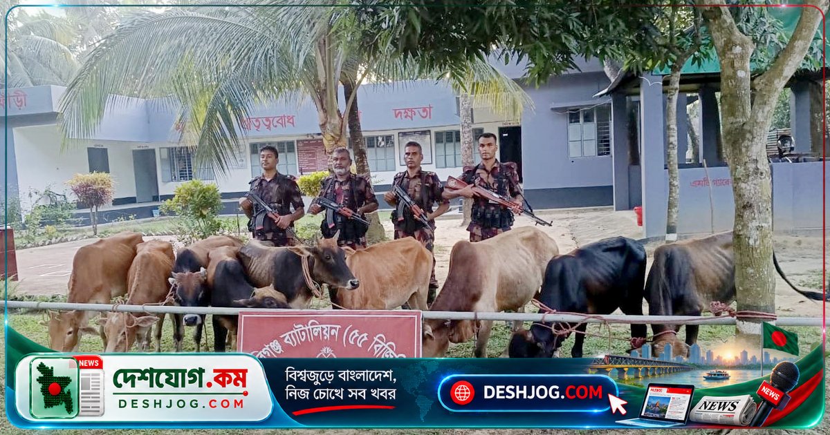 হবিগঞ্জ সীমান্তে বিজিবির বিশেষ অভিযানে জব্দ ৯টি ভারতীয় গরু ও ৬৬ বোতল মদ, ৭ লক্ষ ২৯ হাজার টাকার মূল্যের সম্পদ নিষিদ্ধ এলাকায় বাজেয়াপ্ত