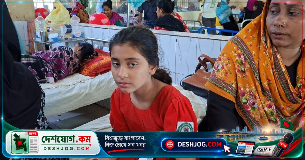 হবিগঞ্জে পাগলা কুকুরের কামড়ে ৪৫ জন আহত, শিশু ও নারী প্রধান ভুক্তভোগী