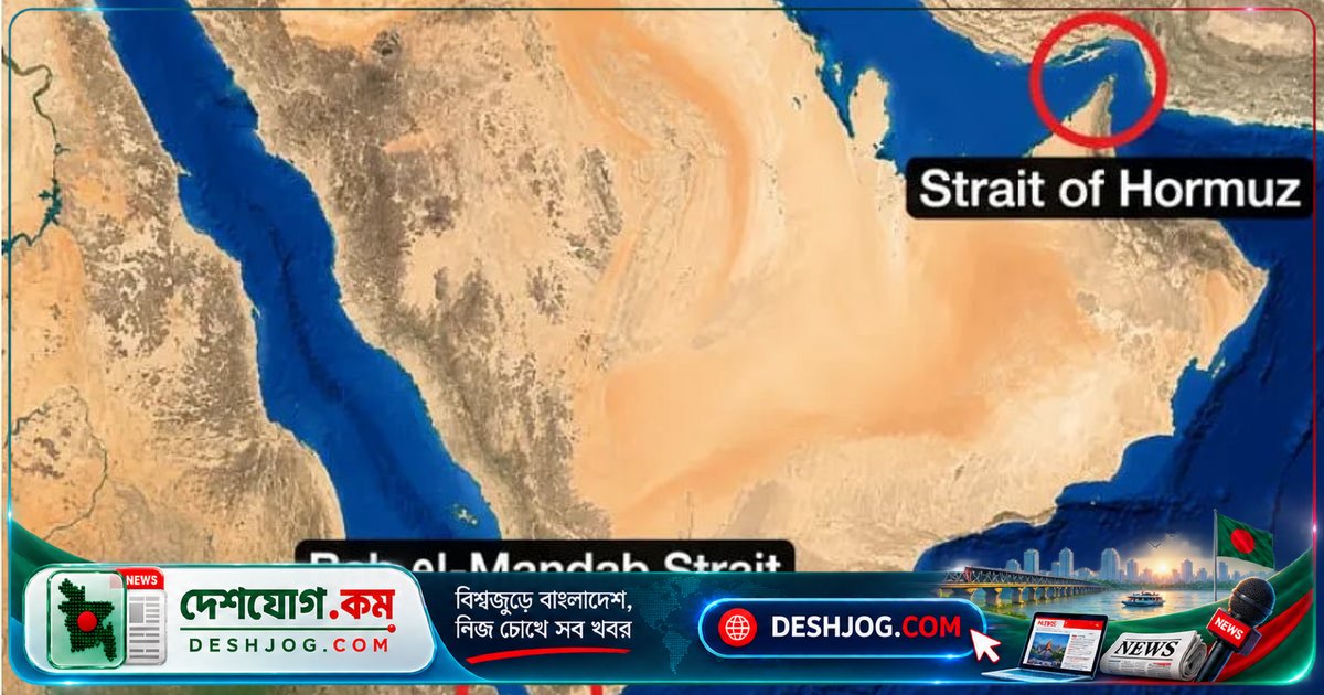 হরমুজ ও বাব আল-মানদেব প্রণালির অস্থিরতা: বাংলাদেশের জ্বালানি নিরাপত্তা কীভাবে রক্ষা করবে?