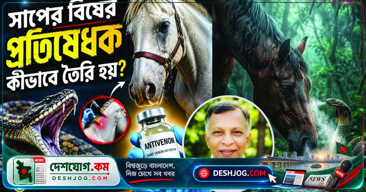 ঘোড়া থেকে জীবনরক্ষাকারী অ্যান্টিভেনম: সাপের বিষের বিপদ থেকে মানুষের প্রতিরক্ষা