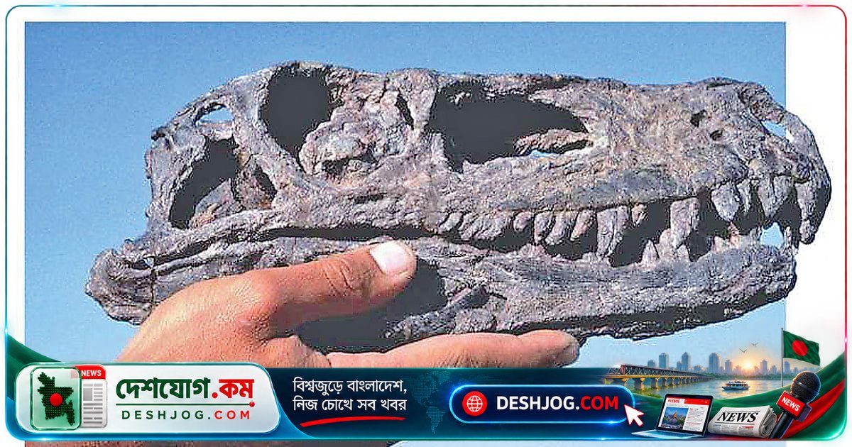 ২৩ কোটি বছর আগের পৃথিবীতে কীভাবে ডাইনোসররা শাসক হয়ে ওঠে? বিজ্ঞানীরা উন্মোচিত রহস্য