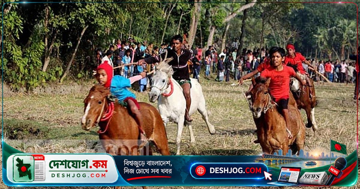 ঘোড়ার দ্রুতগতির গোপন: কীভাবে পৃথিবীর দ্রুততম স্থলচর প্রাণী ঘণ্টায় ৭০ কিলোমিটার ছুটে যায়?