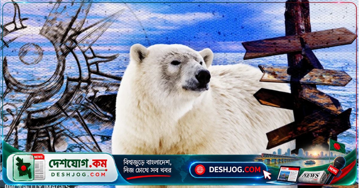 পৃথিবীর উত্তর মেরু কতটি? বিজ্ঞানীরা বলেন, এখানে ‘অনেকগুলো’ মেরু রয়েছে!