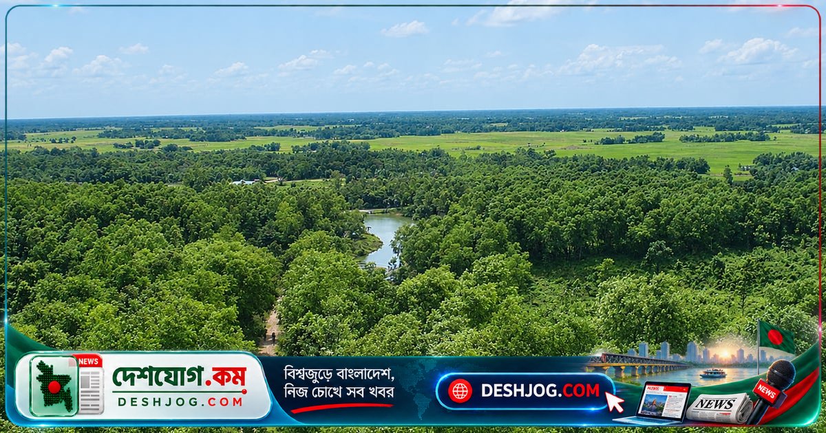 সূর্যের আলো থেকে খাবার তৈরি: গাছপালা কীভাবে পৃথিবীর জীবনকে রক্ষা করে?