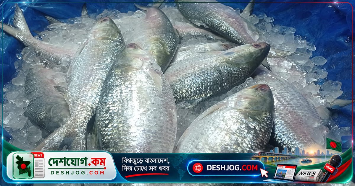 হোটেলের প্লেটে 'ইলিশ' দেখে কীভাবে বুঝবেন আসলে কি মাছ? চন্দনা ও সুরমার সত্য চেহারা ও পার্থক্য