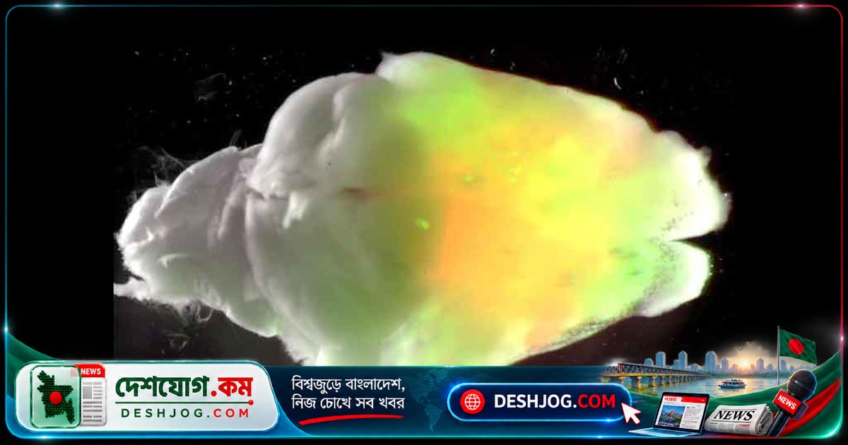 ইঁদুরের মস্তিষ্কে মানব নিউরন বিকশিত: সৃষ্টি হলো সক্রিয় স্নায়বিক সংযোগ